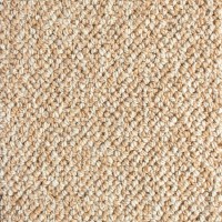 Lana Wool 591